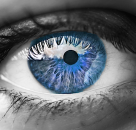 a blue eye